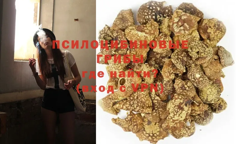 Галлюциногенные грибы MAGIC MUSHROOMS  Змеиногорск 